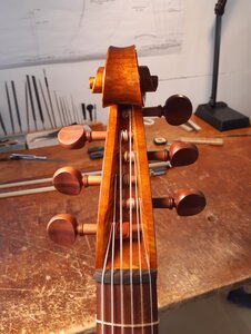 Neubau Gambe Schnecke front :: Geigenbau