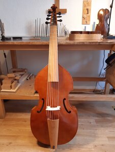 Neubau Gambe :: Geigenbau