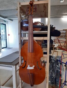 Neubau Gambe 6-saitig :: Geigenbau