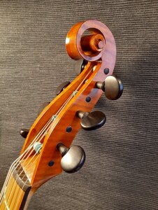 Neubau Gambe Schnecke :: Geigenbau