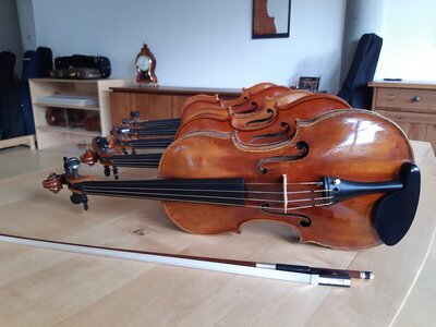 Verkauf :: Geigen & Gamben